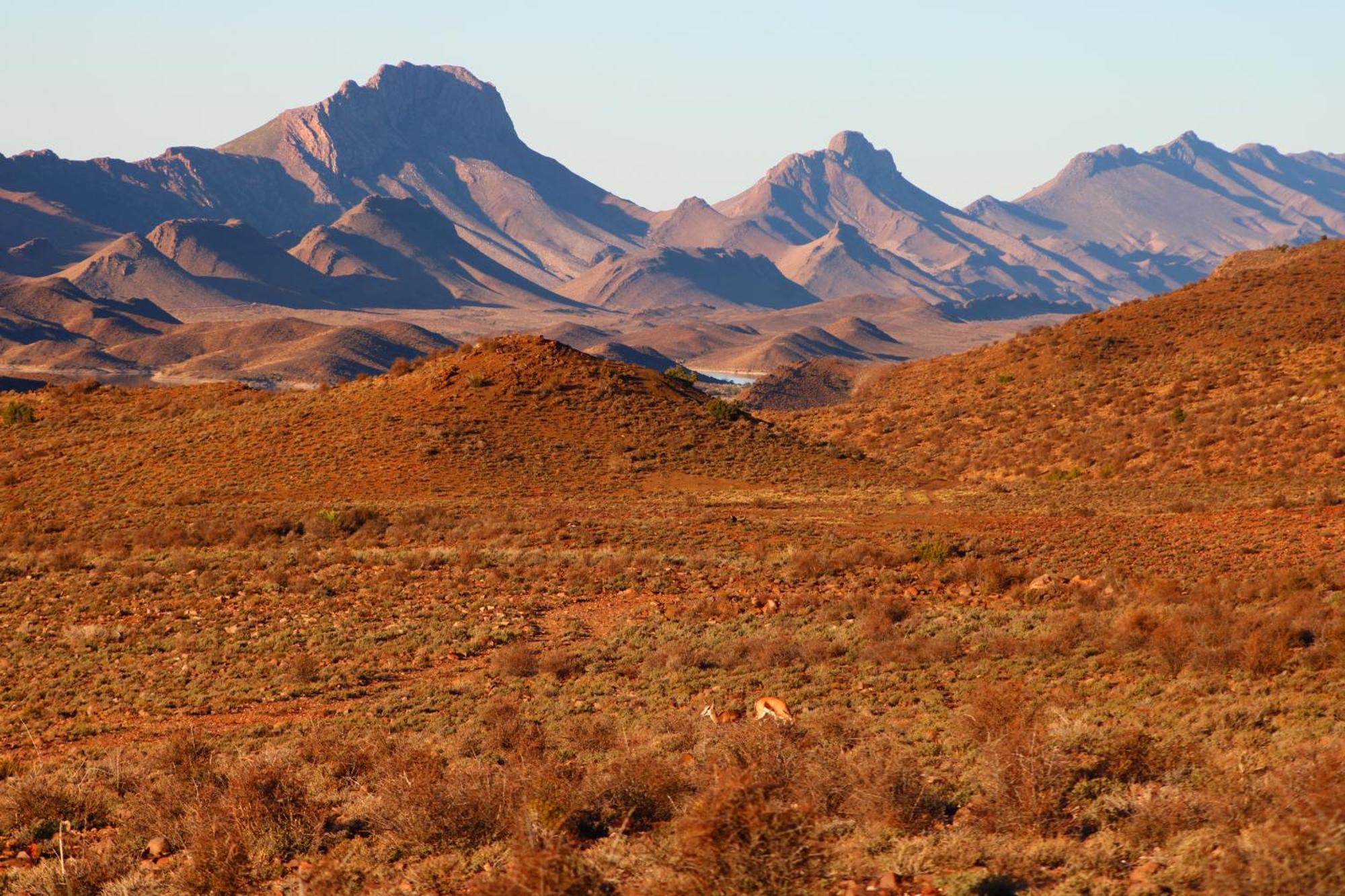 Bosch Luys Kloof Nature Reserve Ладисмит Екстериор снимка