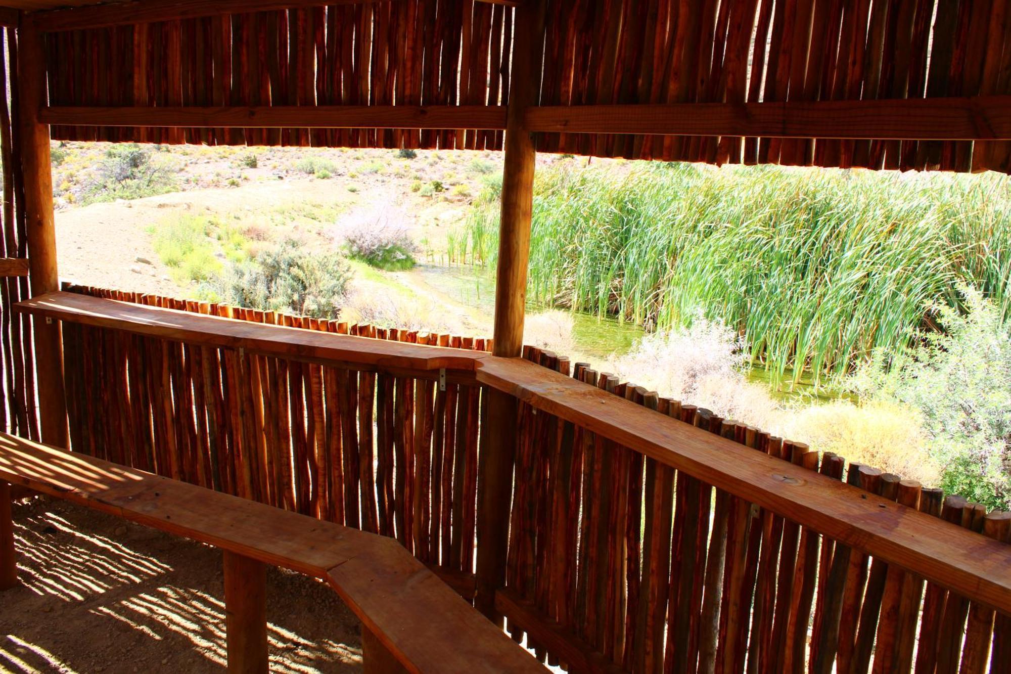 Bosch Luys Kloof Nature Reserve Ладисмит Екстериор снимка
